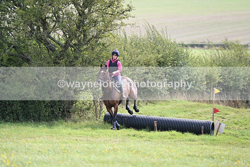 WJ6_8332 - Time 12:18 to 12:59