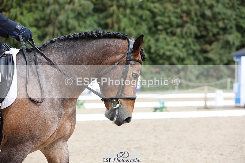 250718A-160632-02773 - 154-Joanne.Pengelly-Ashfield.Bob