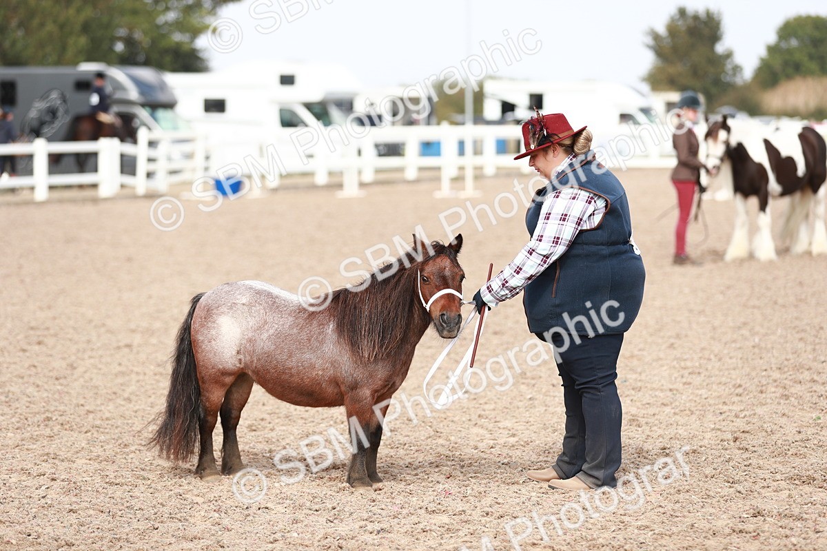 SBM_13936 - Class 209 IH Veteran Pony