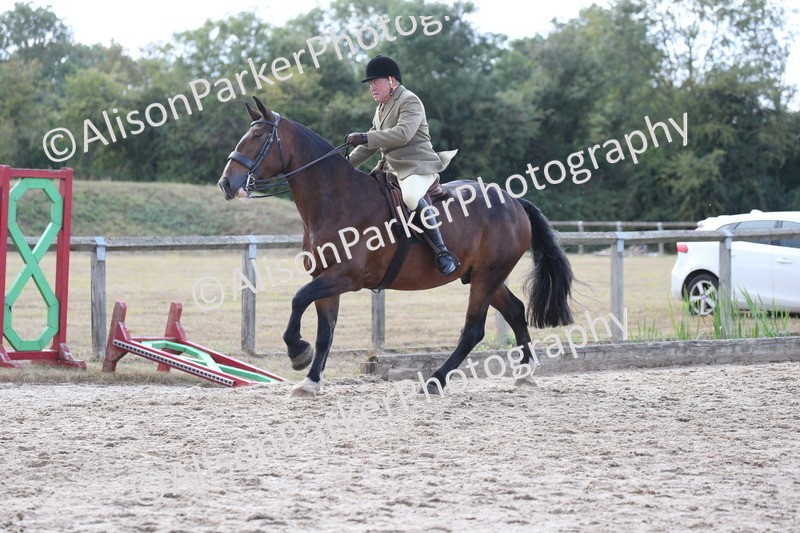 20260831-2776 - Class 16 and 17- Ridden Cob and Hunters