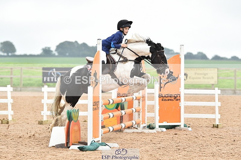 230902A-114710-00841 - Cls 2B Pony Small 80cm