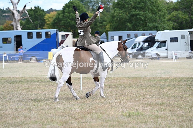 WJ7_5691 - Class 12 Ridden Cob