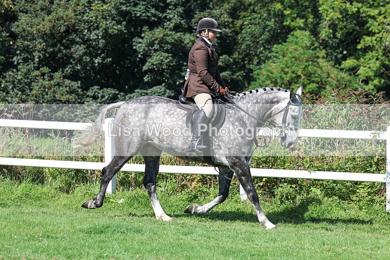 3E7A8336 - Class 4: Novice working Hunter