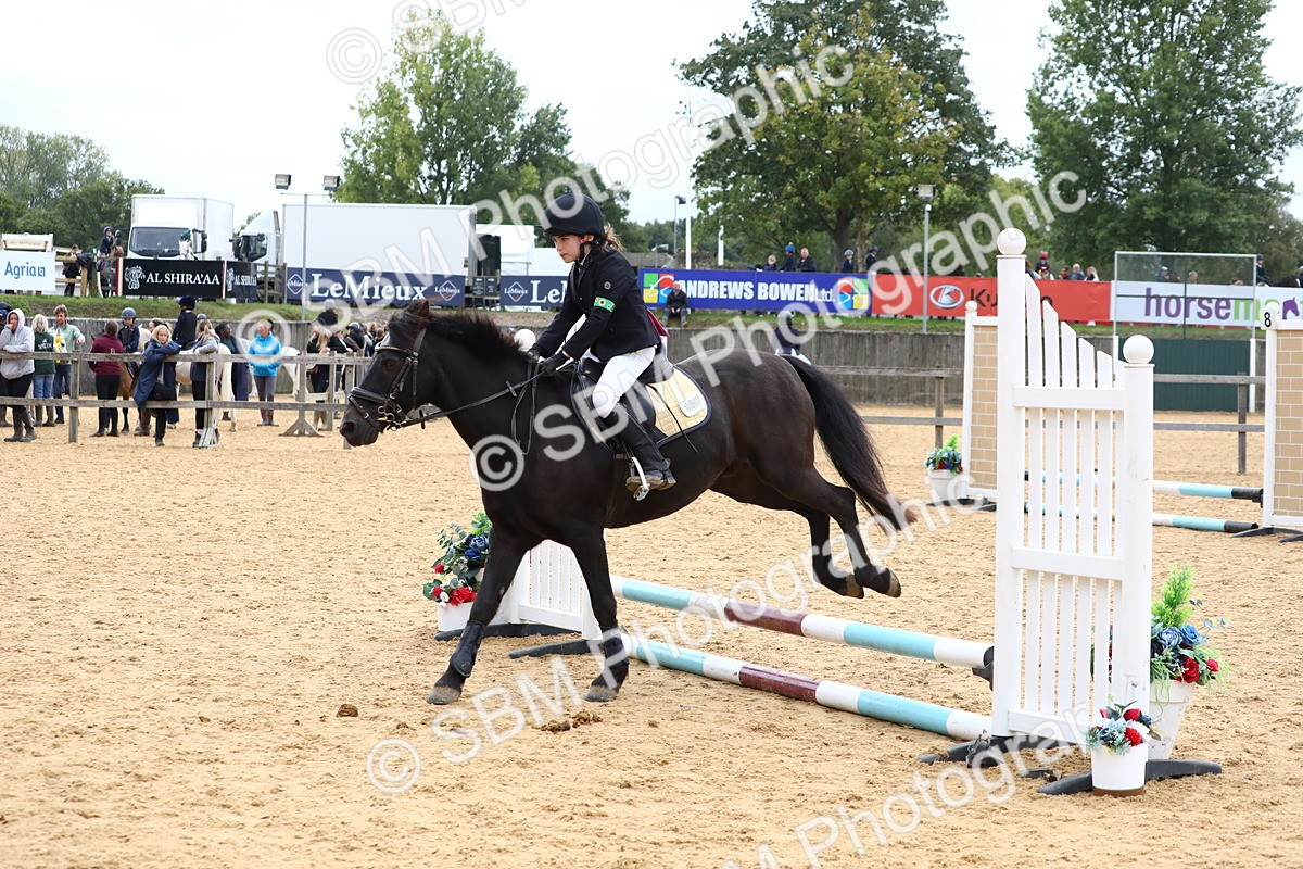 SBM_68218 - J3b - Mini Tour Junior Pony 40cm Championship