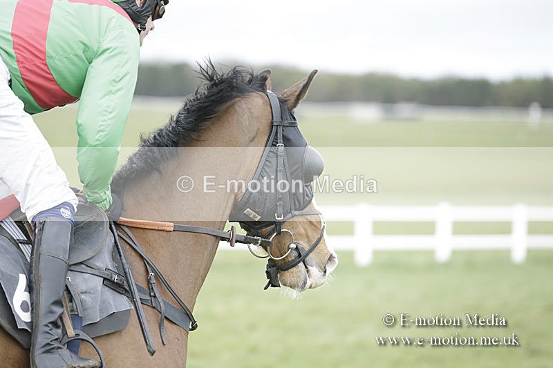 PtP 150320 0559 - New Forest Point-to-Point Larkhill 15/03/20