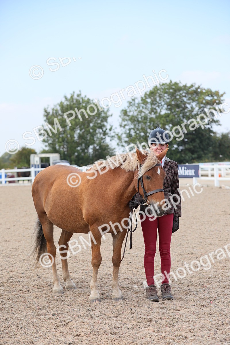 SBM_15892 - Class 312 IH Competition Horse/Pony