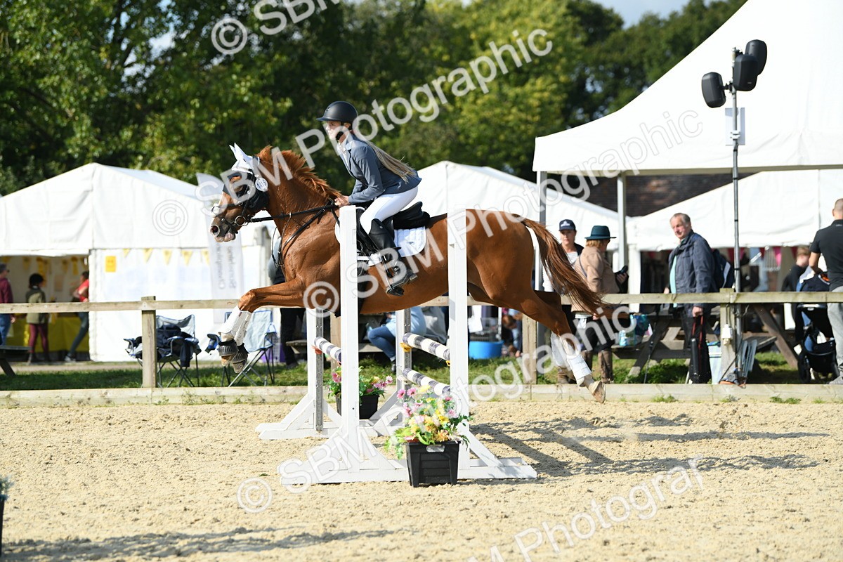 SBM_61732 - j25 - Junior Horse 80cm Championship