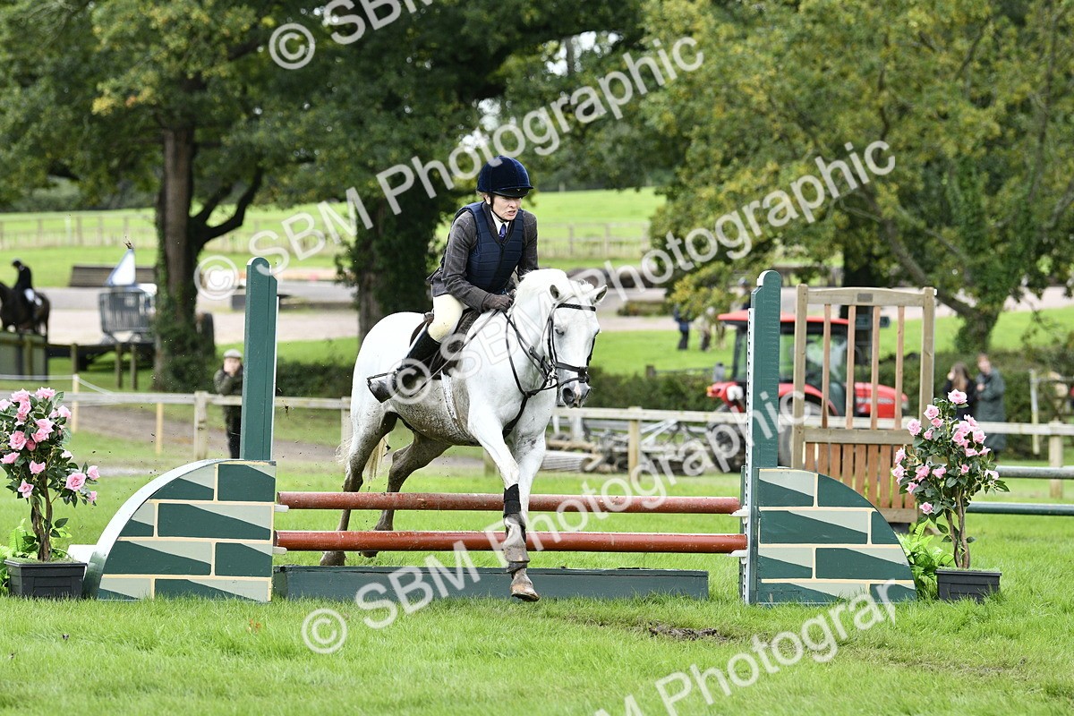 SBM_41316 - S32 - Mountain & Moorland Working Hunter Pony