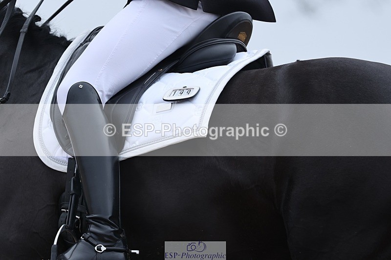 250216-111312-05388 - 199-Joe.Roome-Monarchs.Way.Tobiah