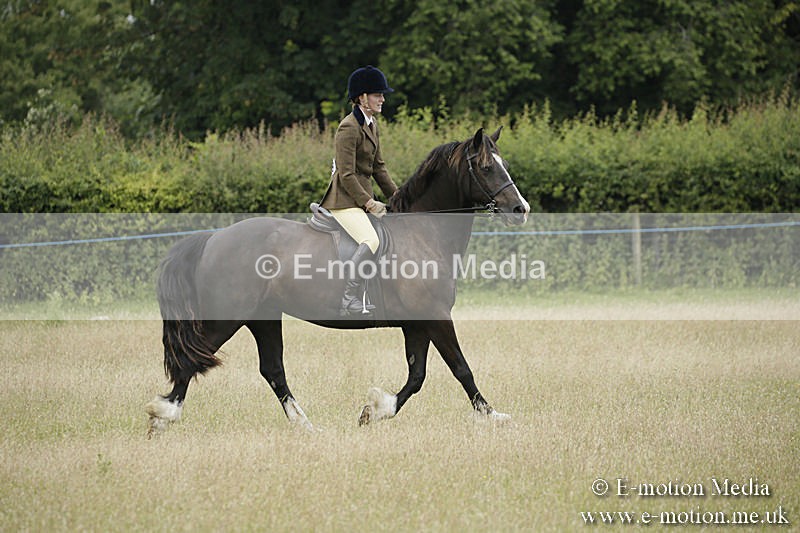 B230619-0091 - Bourne Valley Riding Club Summer Show 23/06/19