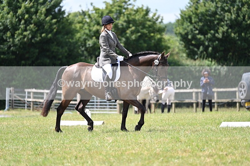 WJ7_4819 - Time 11:22 to 11:51