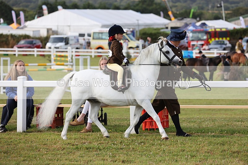 JPP_0251 - Class 14: Cornish Combination Leading Rein