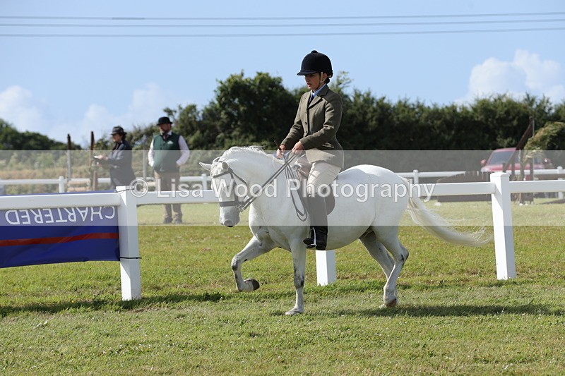 1X9A5745 - Class 40: NPS Welsh A & B