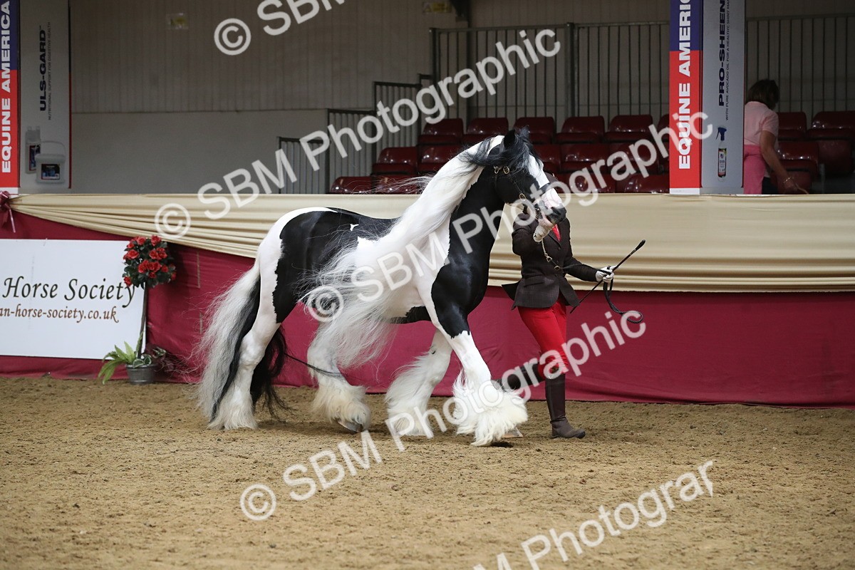 SBM_05473 - Class 9R - Regional IH Pre-Vet