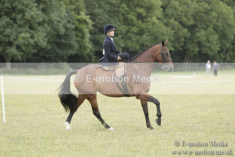 BVR160717-2361 - Side Saddle Classes 16/07/17