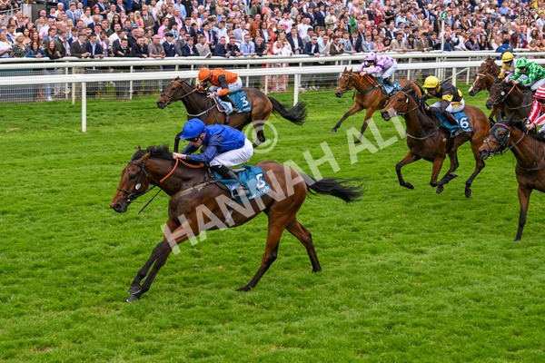 250524-Race 5-Burdett-3973 - Race 5 3.55pm William Hill Epic Boost Handicap