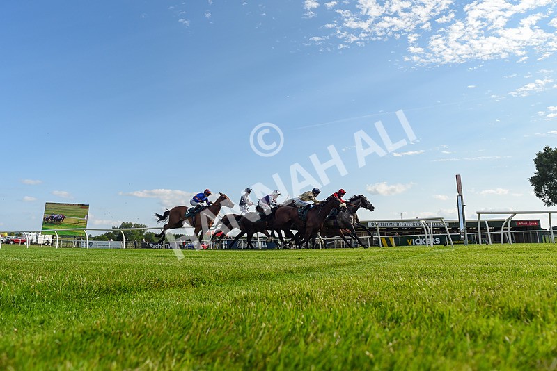 100625-Race 3-Stellarmasterpiece-4528 - Race 3