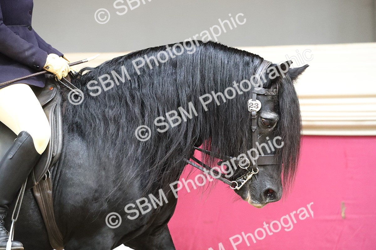 SBM_16256 - Class 502 M&M Ridden Supreme Final