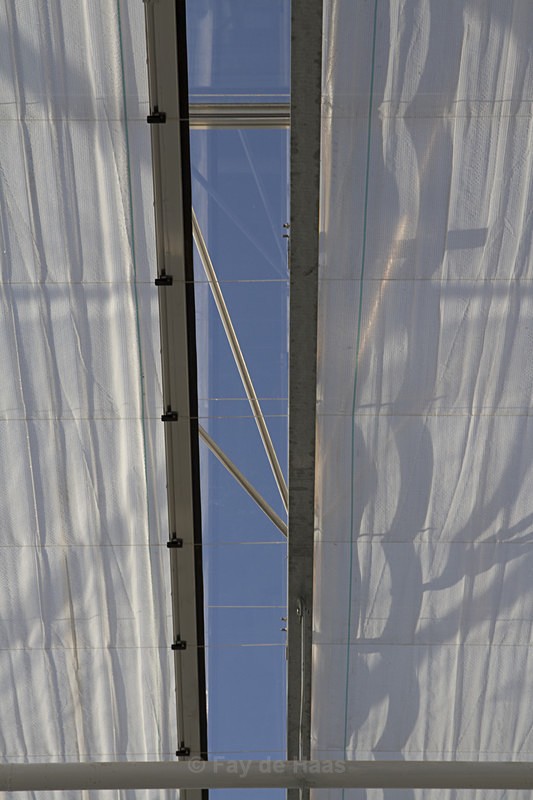 IMG_4592 1 - Manmade lines