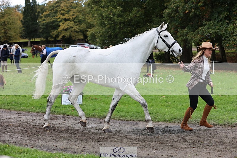 251026A-111811-25357 - G-565-Katie.Maddox