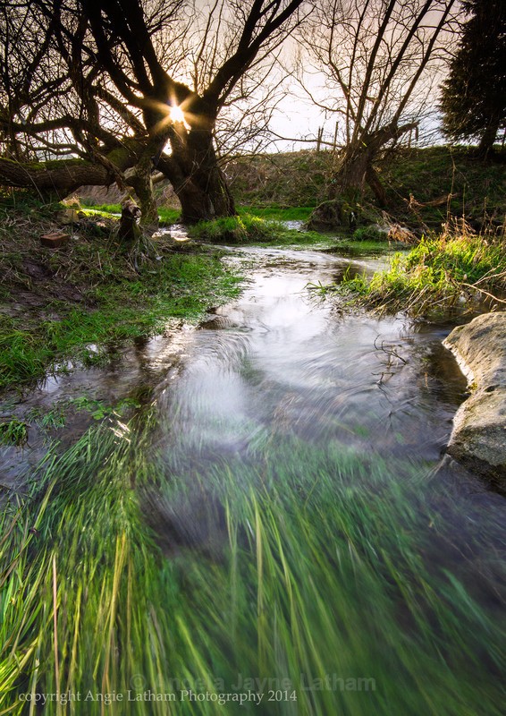 Swallowhead Spring and Well, Avebury - Holy Wells and Sacred Springs