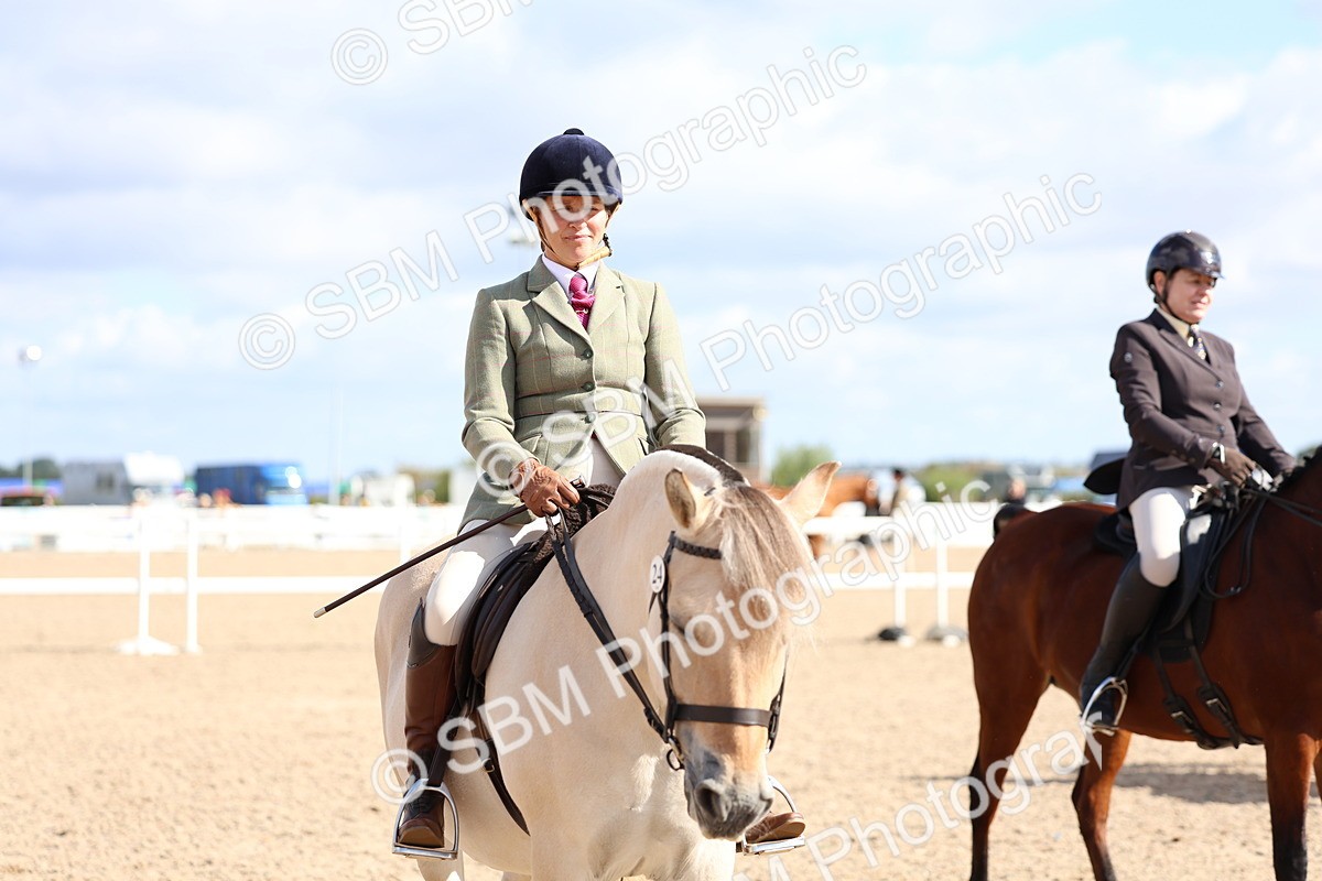 SBM_10891 - Class 305 - Ridden Foreign Breeds - Pure Bred