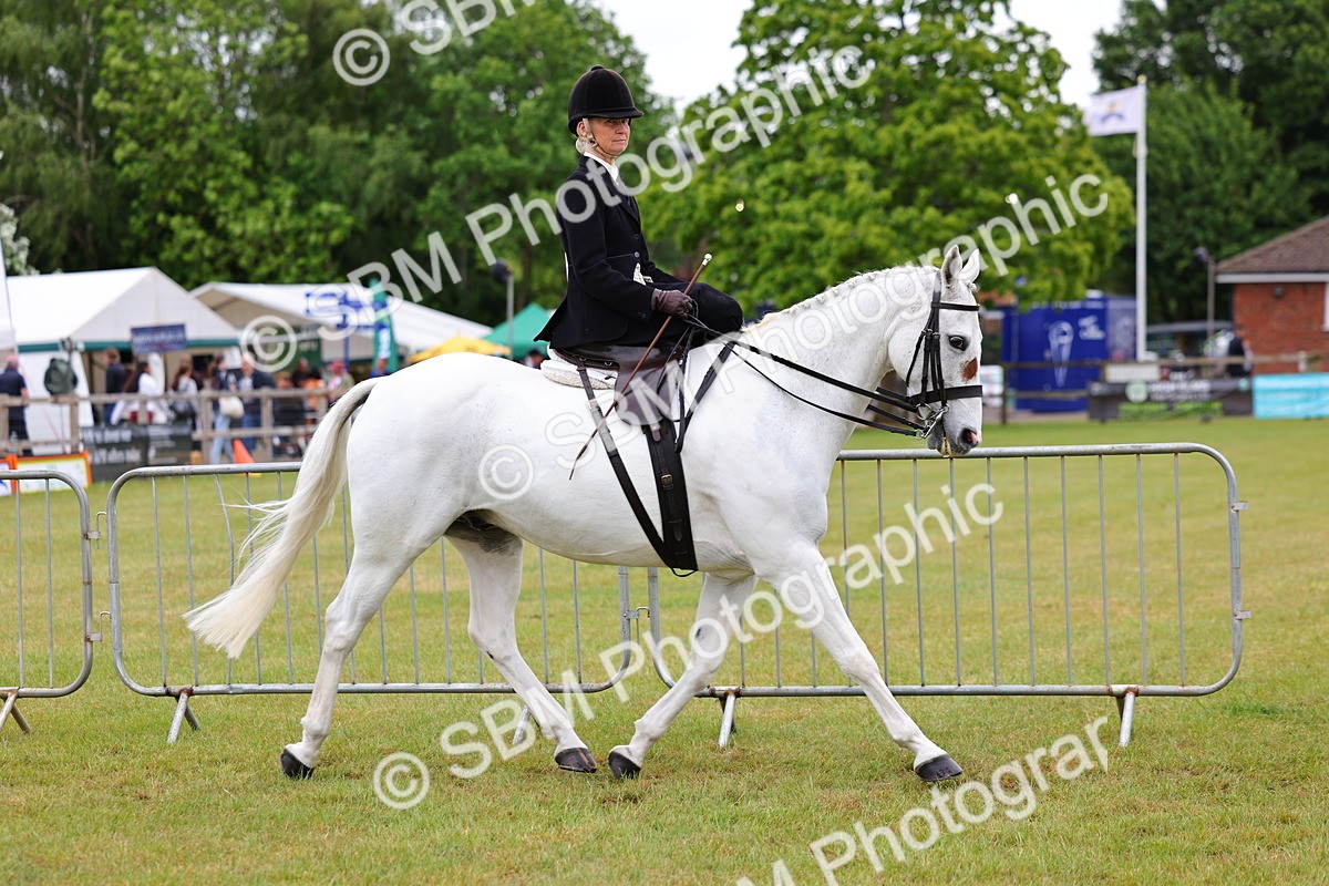 SBM_02703 - Class 9-11 Side Saddle including LIHS Rising Star Ladies Show Horse