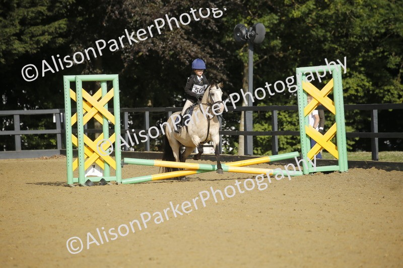 20250622-1150 - 40cm