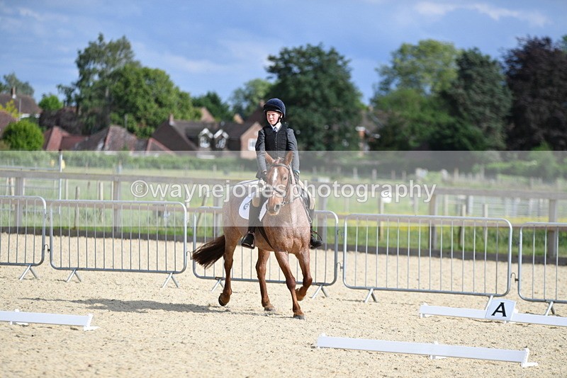 WJ5_7954 - Time 16:56 to 17:14