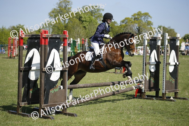 20250427-2130 - Class 13 - Novice Jumping 60cm