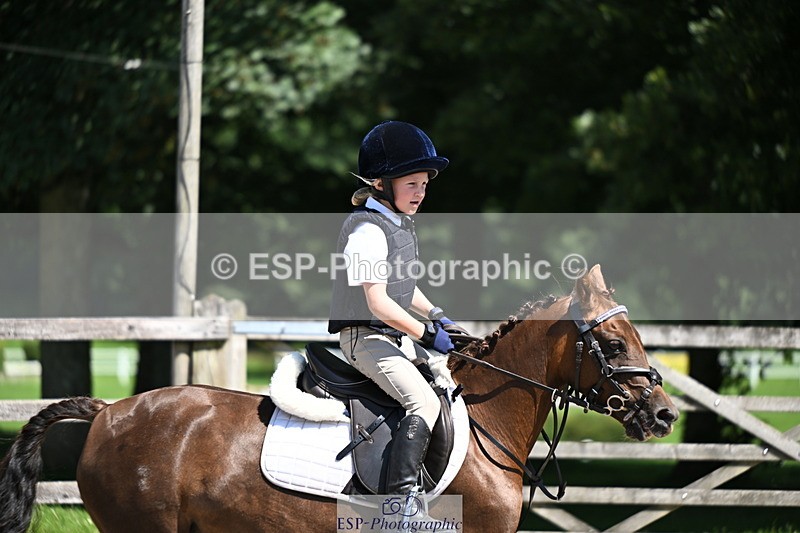 240729B-115535-02560 - Showjumping Competition