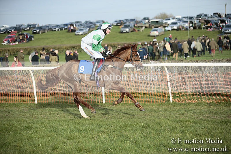 PtP 230319 511 - VWH Hunt Siddington Point-to-Point Racing 23/03/19