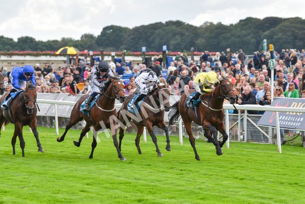 230923-Race 3-Politico-6279 - Race 3 3.10pm Happy 60th Birthday Angela Clark Nursery Handicap