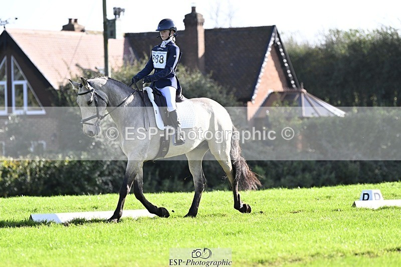 241025-143333-09686 - 388-Anaya.Stoneman-DUNTOATEE