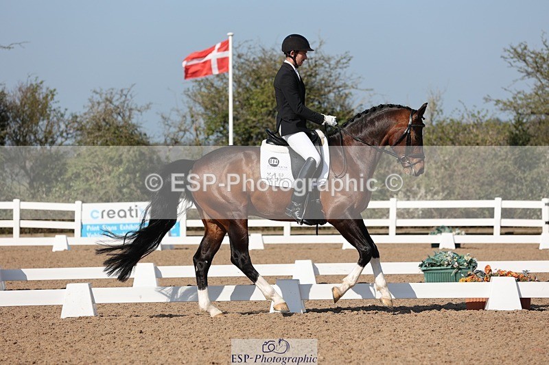 250405-103056-09506 - 094-Jacob.Denham-Woodcroft.Dantes.Romancier