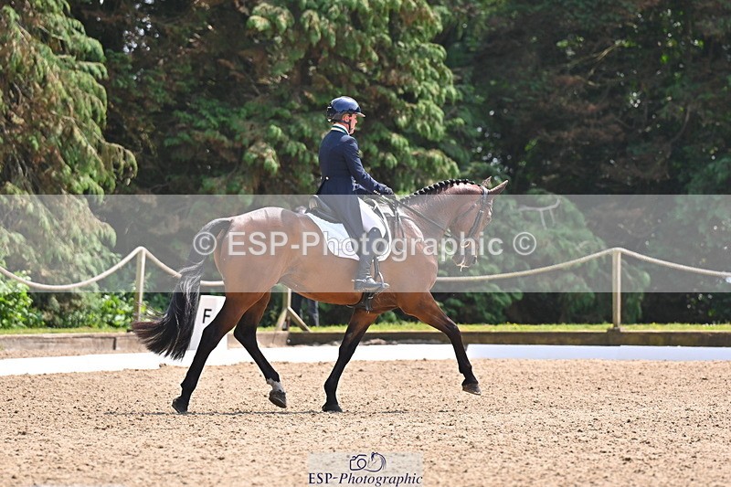 250523A-140203-07191 - B-358-Sammi.Birch-PARKFIELD.ARTIE.BLOU