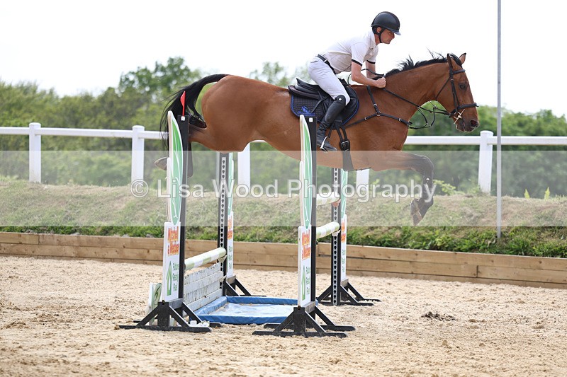 3E7A7822 - Class 8: Senior Foxhunter/1.20 open