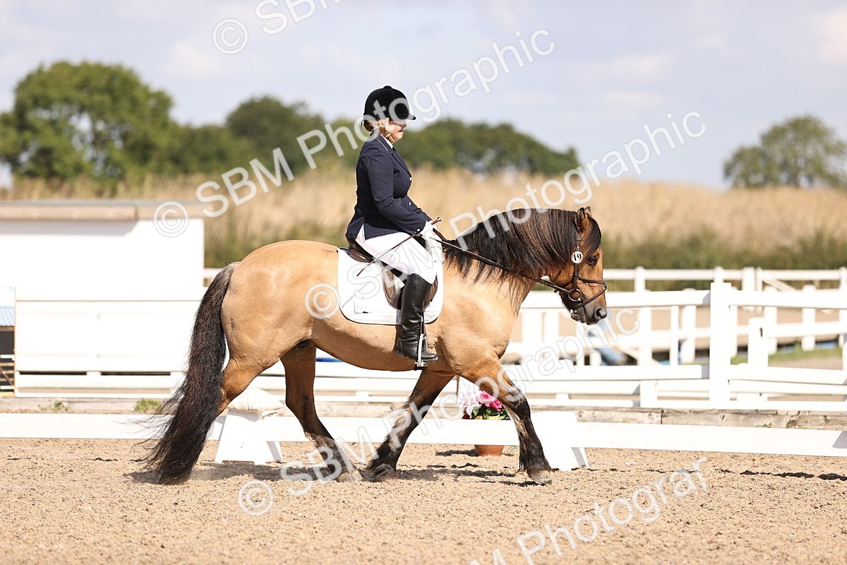 SBM_03600 - CLass 35 Intro 3