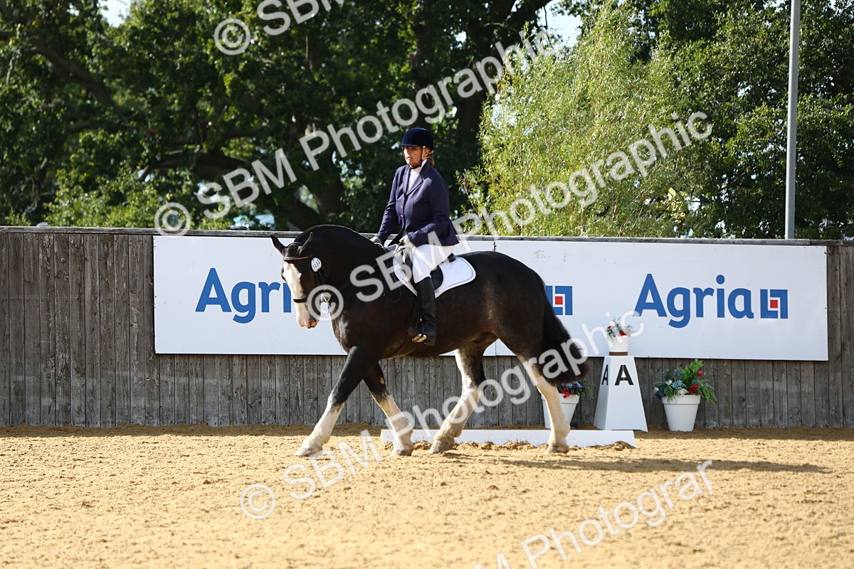 SBM_24500 - D11 - Small Tour Championship Prelim 1