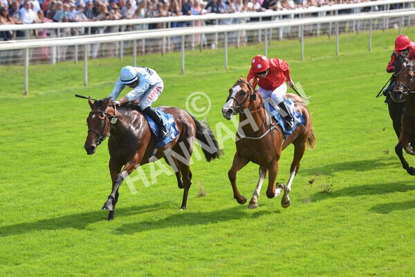 yr05092021r1-40 - Race 1 2.10pm IRE-Incentive It Pays To Buy Irish ebfstallions.com Novice Stakes