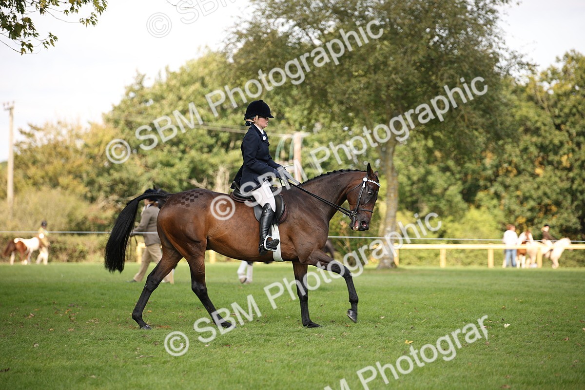 SBM_65927 - S64 - Riding Horse & Hack & Thoroughbred Ridden