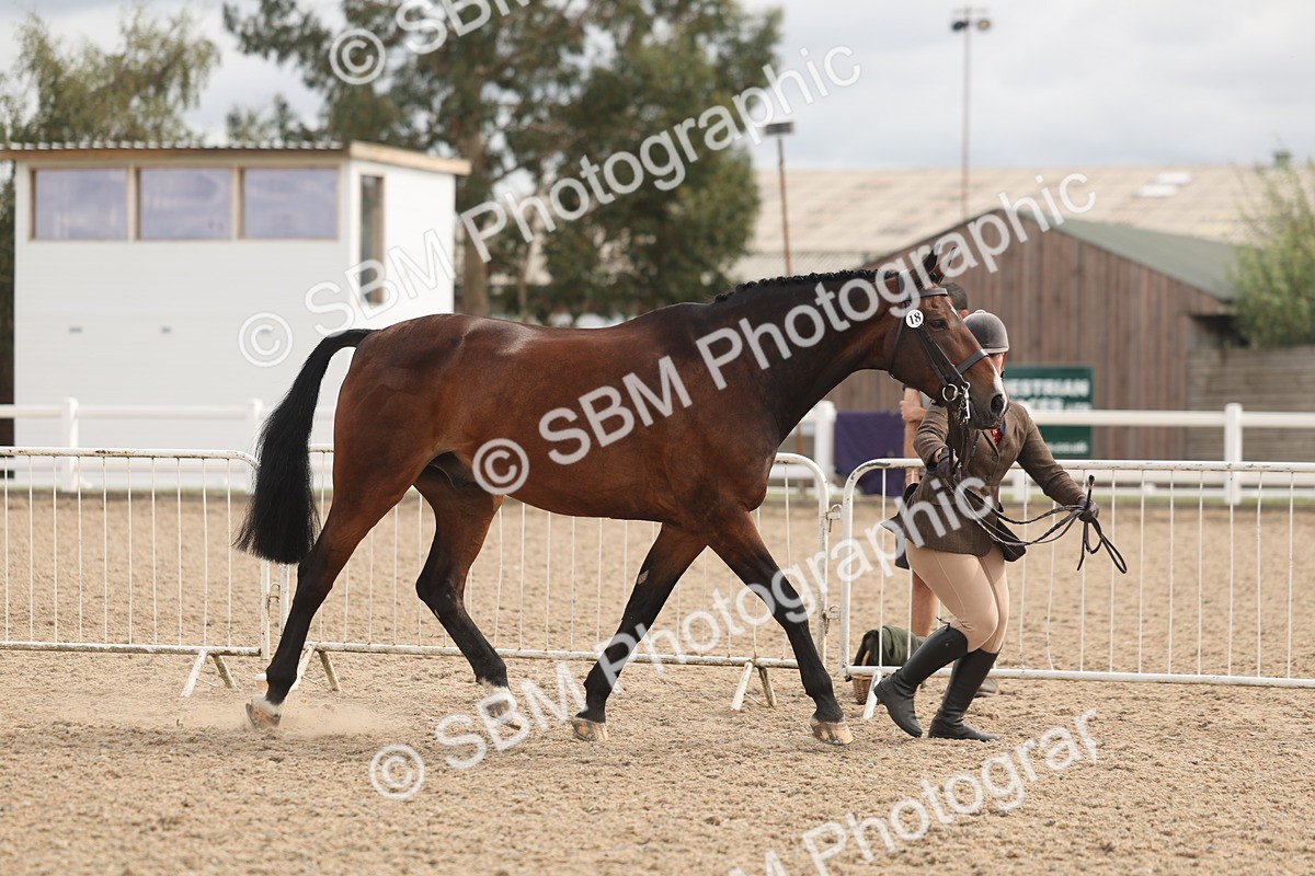 SBM_04974 - Class 20 - IH Veteran