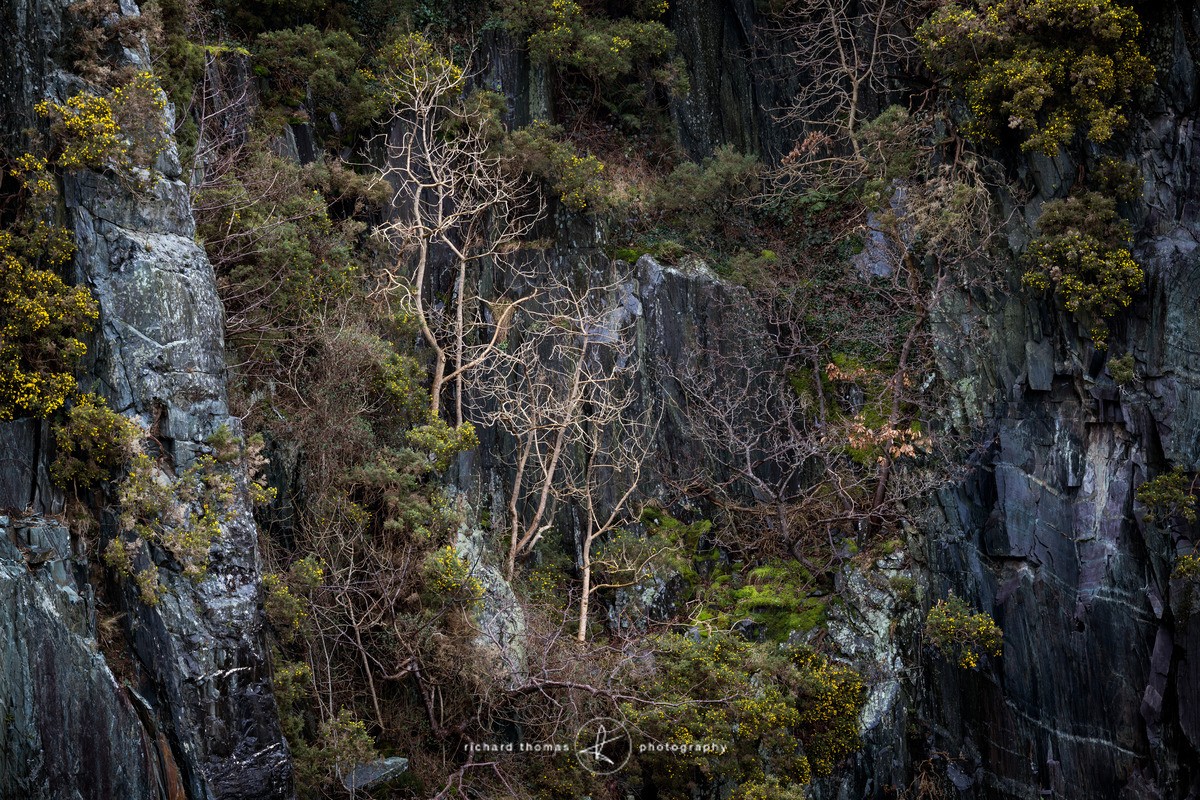 Cliffhangers - Repossession