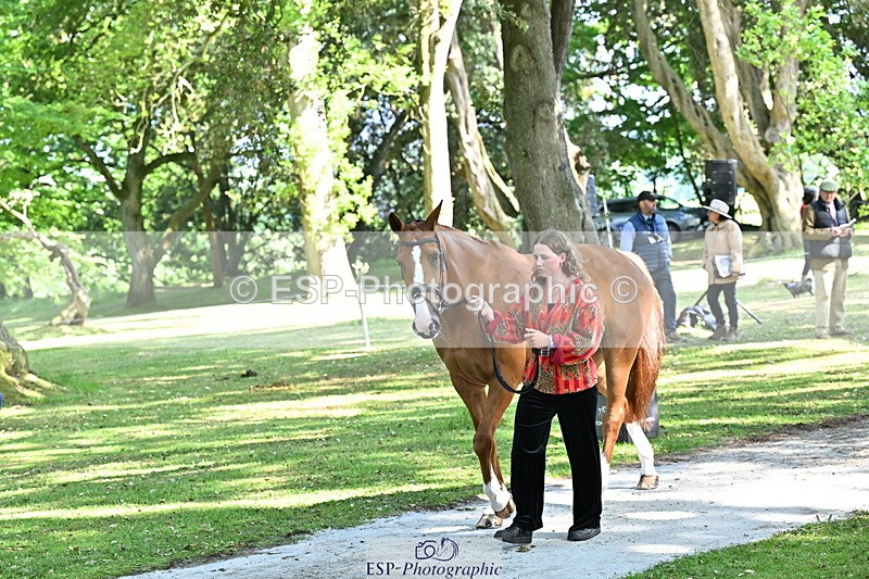 250521A-162216-01093 - C-217-Polly.Kilgour-RENKUM.LADY.VOS