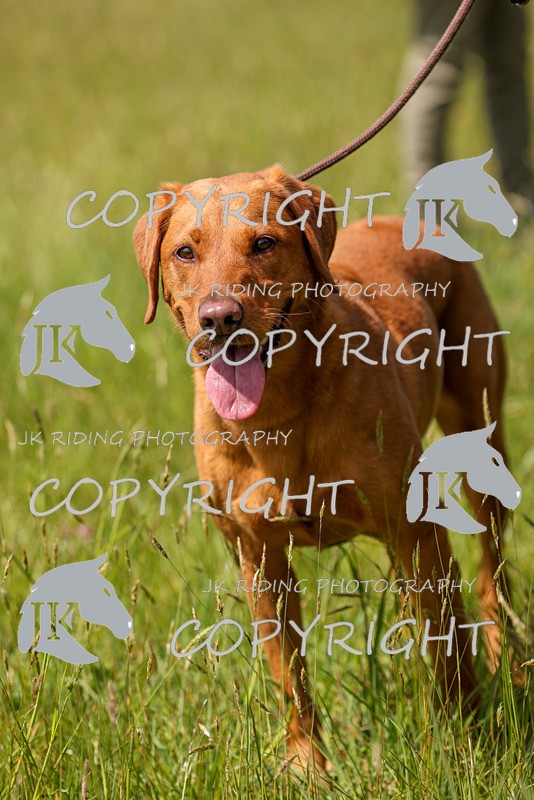 2R6A8822 - 21 Amy