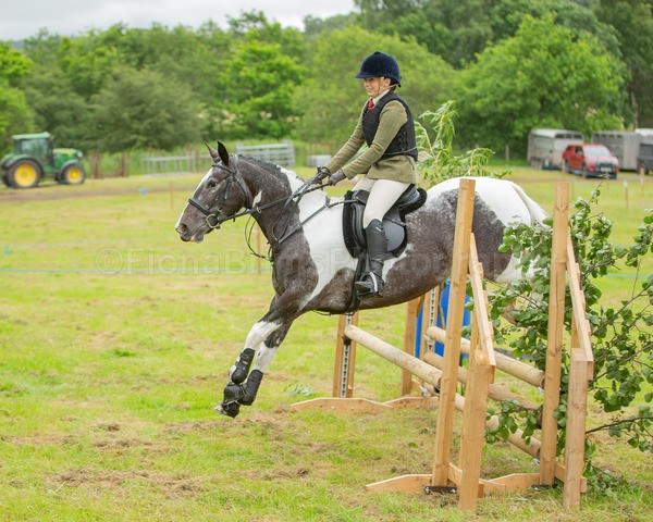 Dunblane show-312 - Dunblane and Doune Show Ring 1