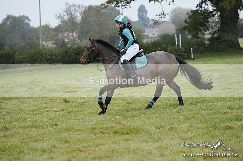 WWHT 181020 WWHT 181020 108 - WWEC Novice Restricted (0.80m) 18/10/20