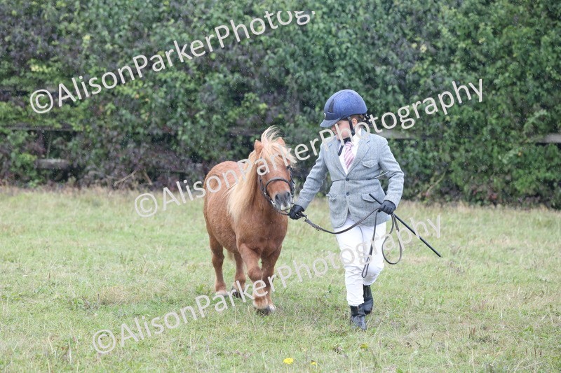 20250831-3076 - Inhand Championship