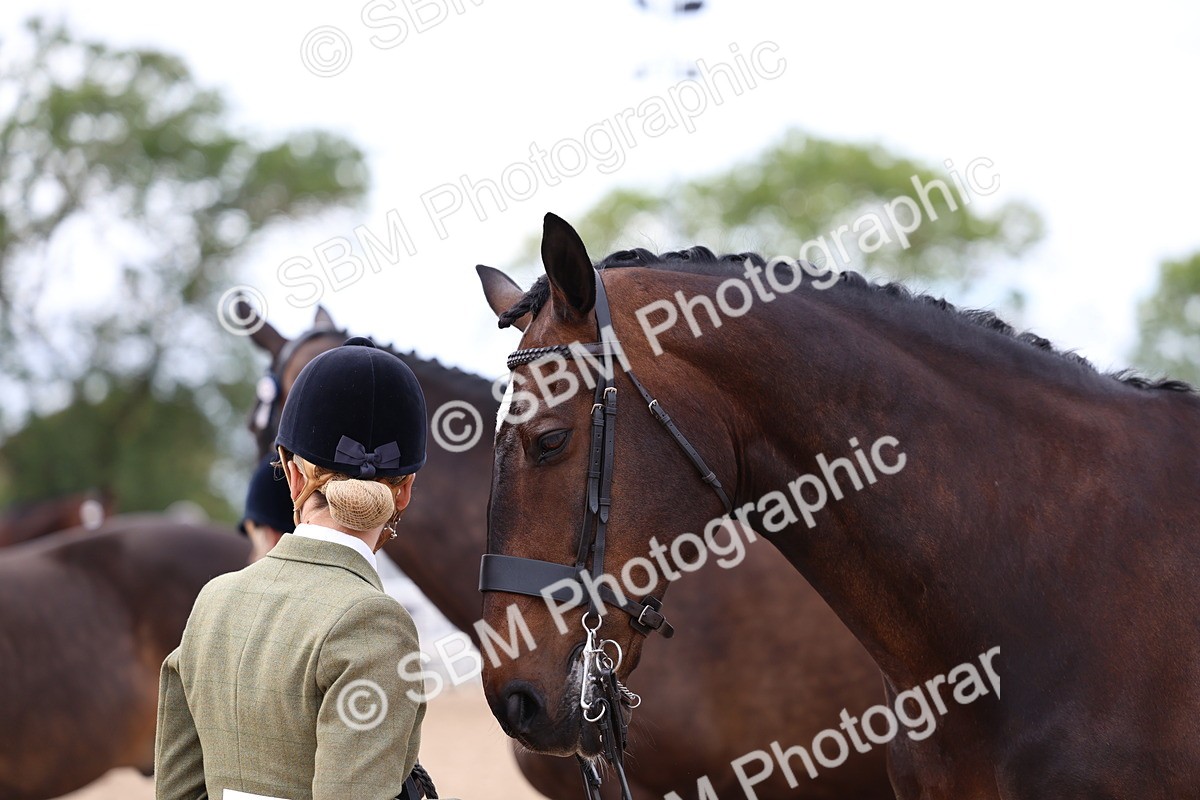 SBM_05780 - Class 28 - IH Veteran Horse