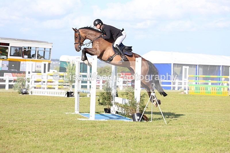 3E7A4317 - Class C: Showjumping Senior Foxhunter
